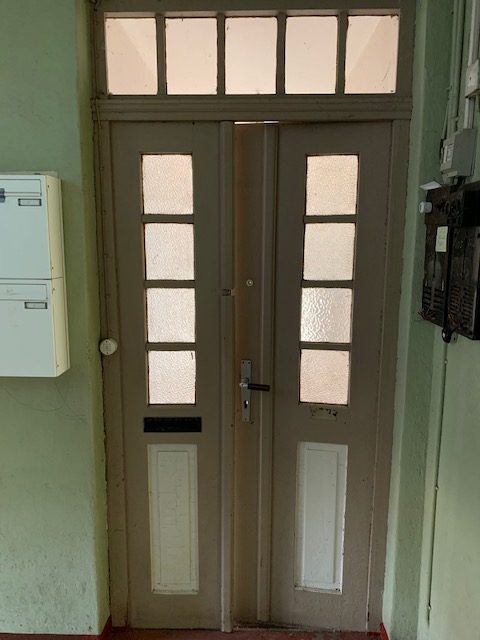 Alte zweiflügelige Wohnungseingangstür mit Oberlicht und Strukturglas